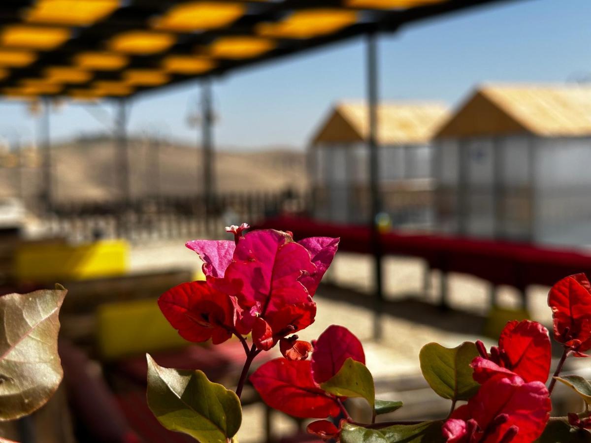 Wadi Al-Wala View Camp Hotel Madaba Ngoại thất bức ảnh